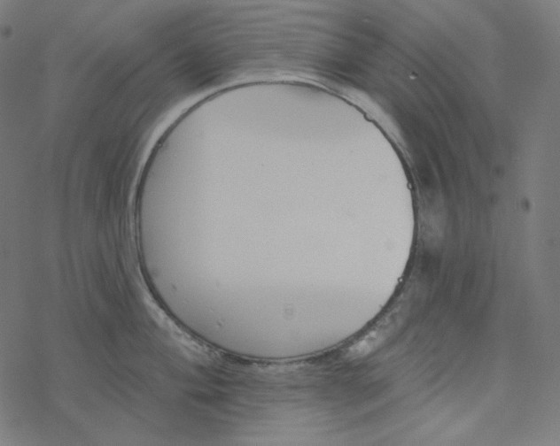 X0000077371004200611031906