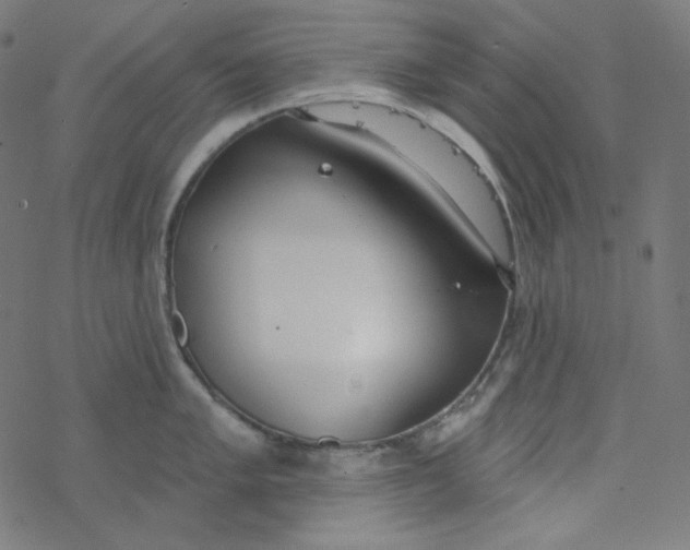 X0000077371005200611031906