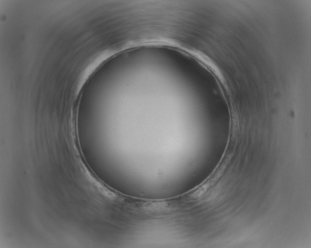 X0000077371006200611031906