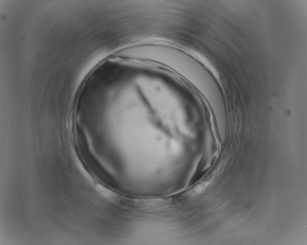 X0000077371007200611031906