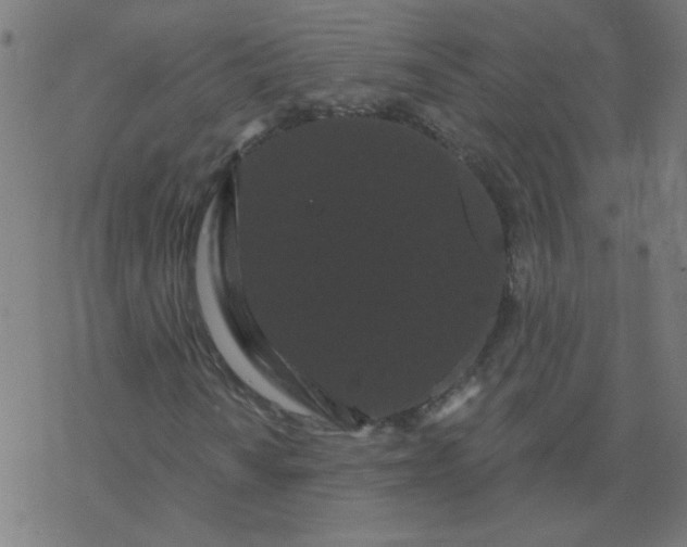 X0000077371010200611031906