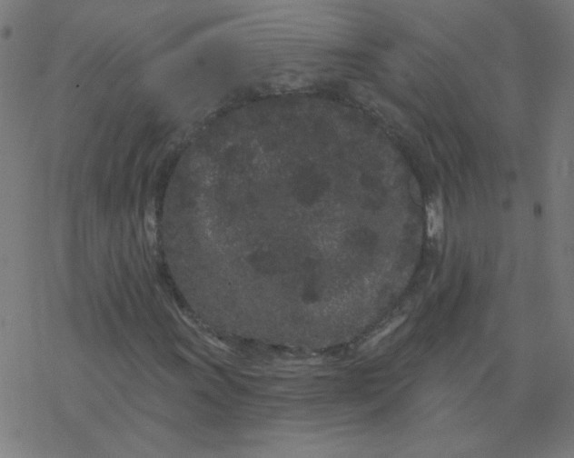 X0000077371011200611031906