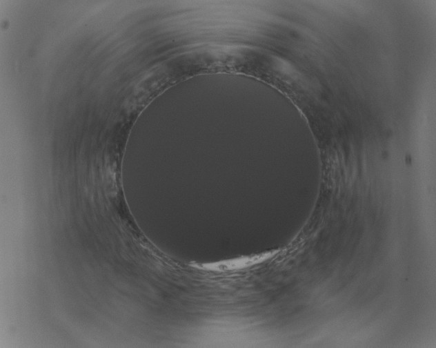 X0000077371013200611031906