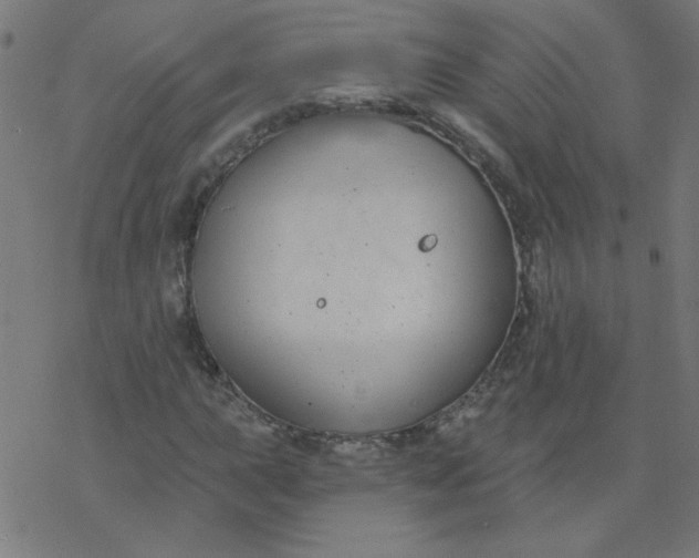 X0000077371015200611031906