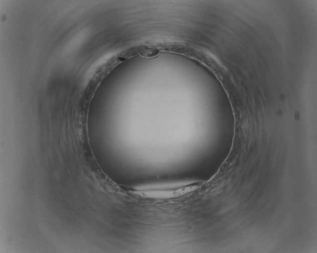 X0000077371016200611031906