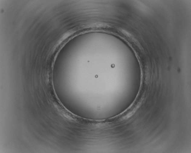 X0000077371017200611031906