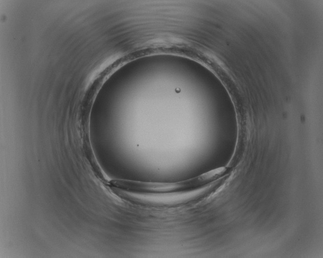 X0000077371018200611031906