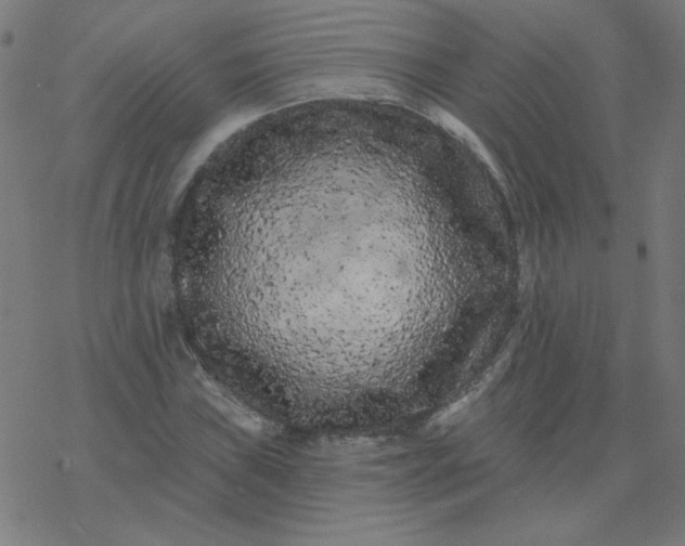 X0000077371019200611031906