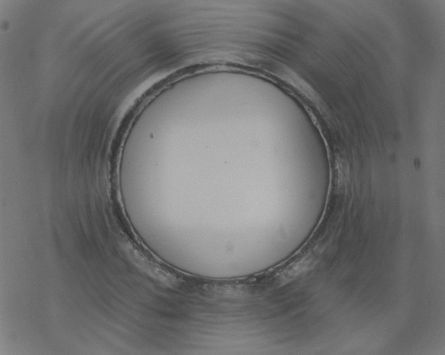 X0000077371020200611031906