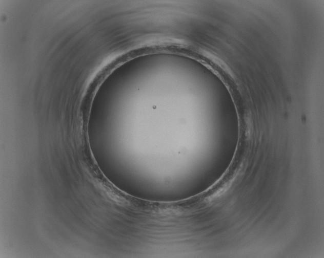 X0000077371021200611031906