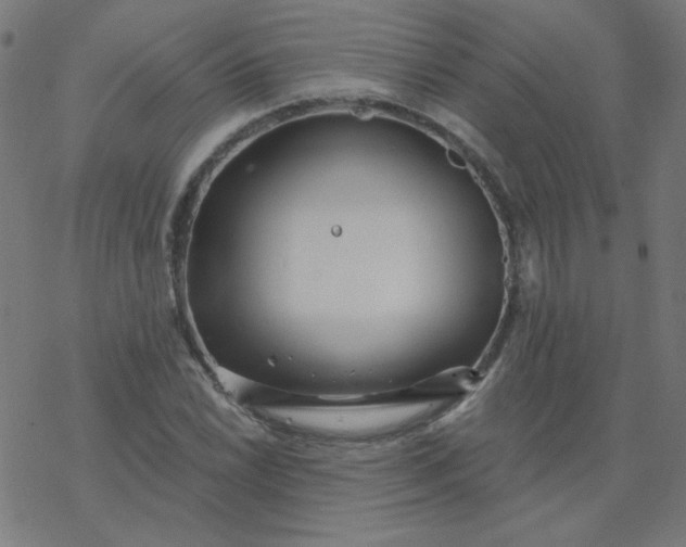 X0000077371022200611031906