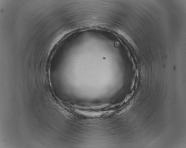 X0000077371023200611031906