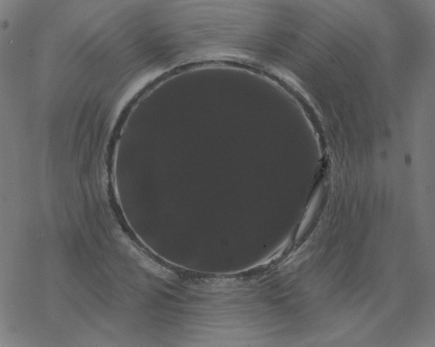 X0000077371024200611031906