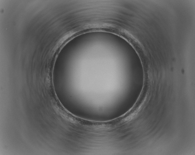 X0000077371025200611031906