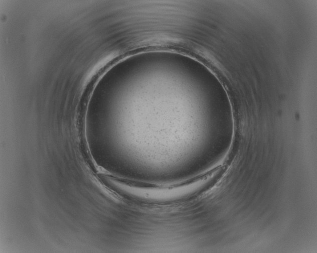 X0000077371026200611031906