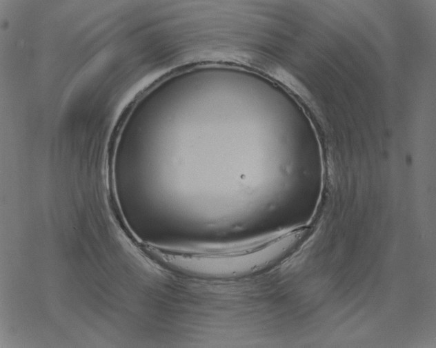 X0000077371028200611031906