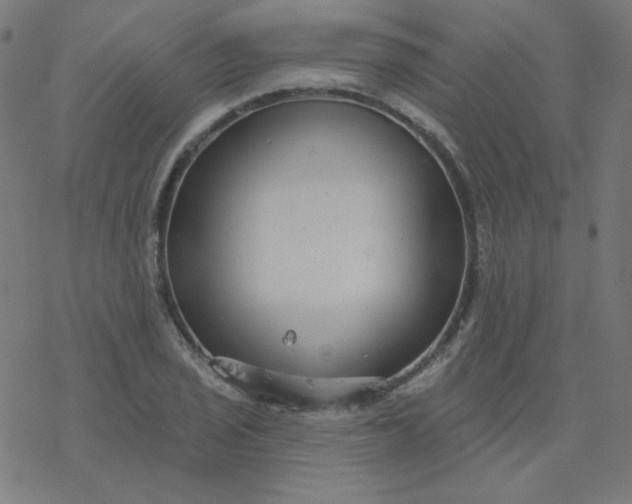 X0000077371029200611031906