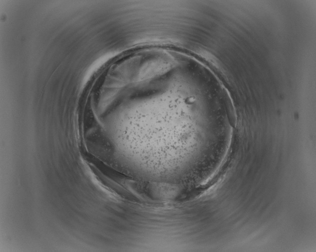 X0000077371030200611031906