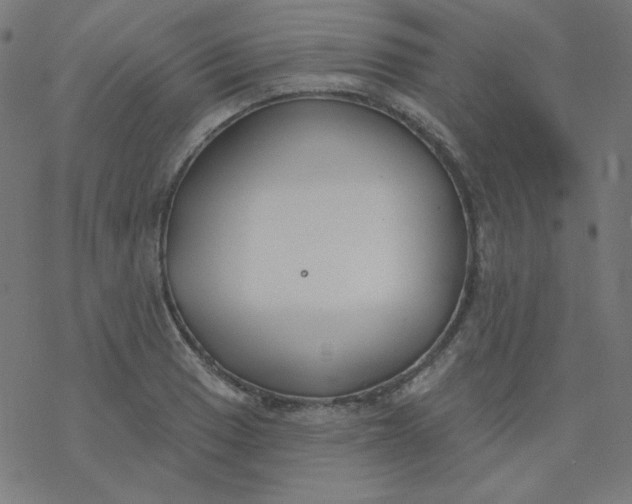 X0000077371033200611031906