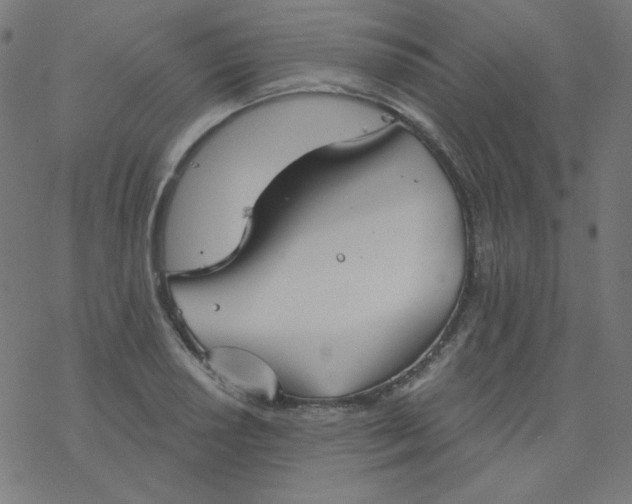 X0000077371034200611031906