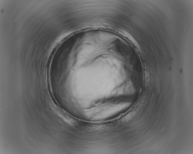 X0000077371035200611031906