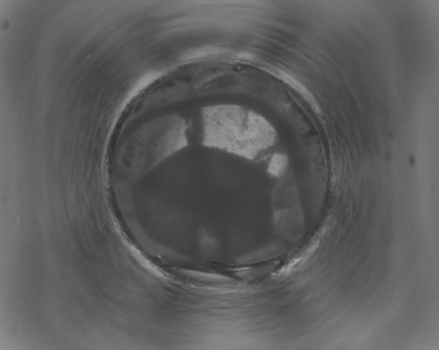 X0000077371037200611031906