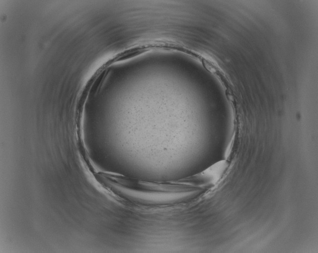 X0000077371038200611031906