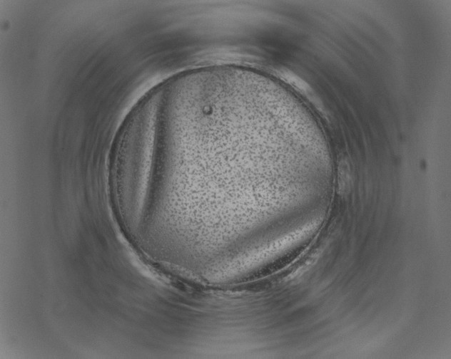 X0000077371039200611031906