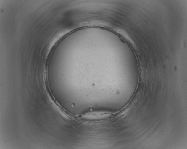 X0000077371040200611031906