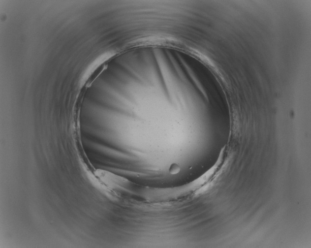 X0000077371042200611031906