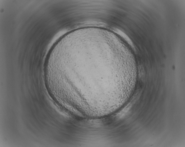 X0000077371043200611031906