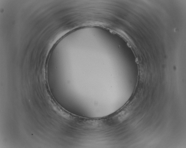 X0000077371044200611031906