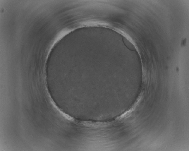 X0000077371045200611031906