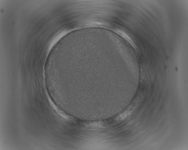 X0000077371047200611031906