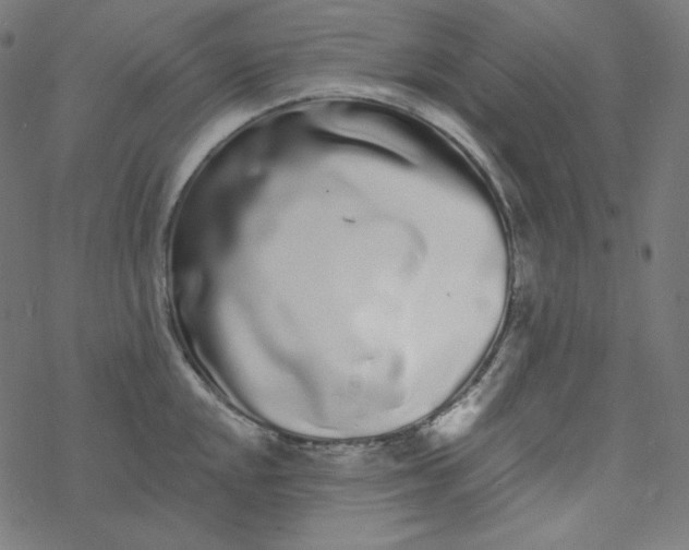 X0000077371048200611031906