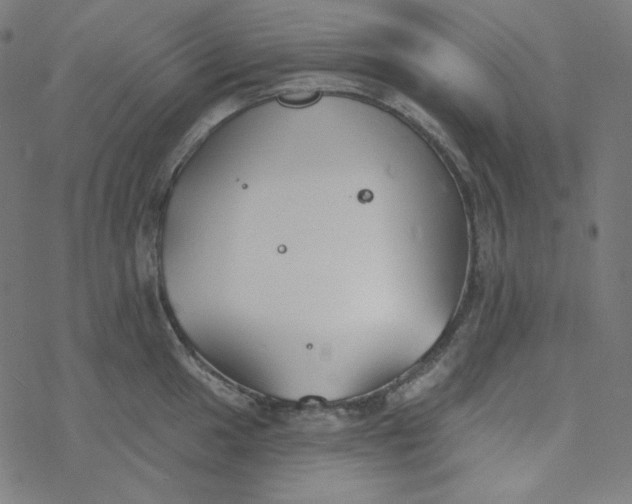 X0000077371049200611031906