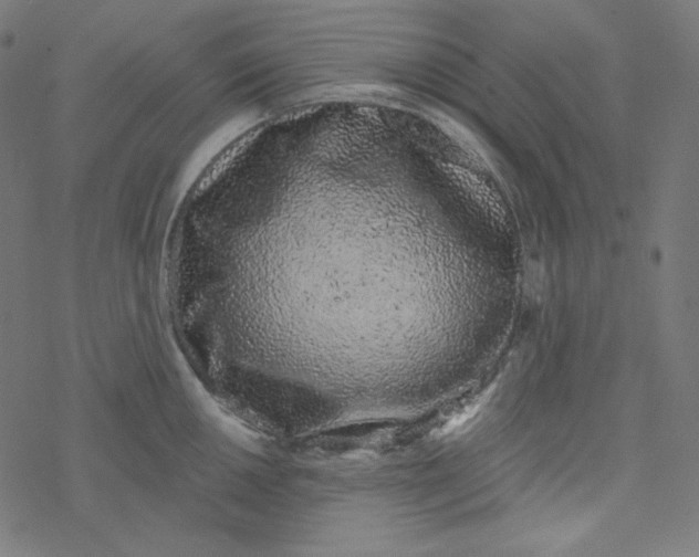 X0000077371050200611031906