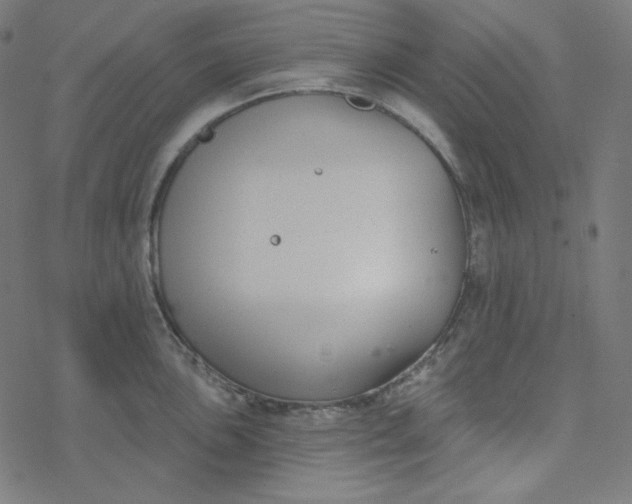 X0000077371051200611031906