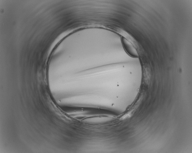 X0000077371052200611031906