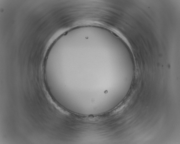 X0000077371053200611031906