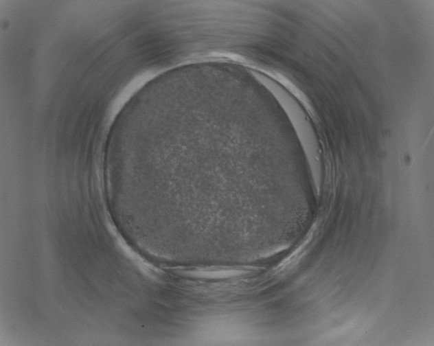 X0000077371054200611031906