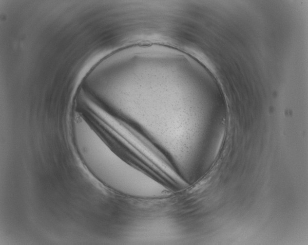 X0000077371056200611031906