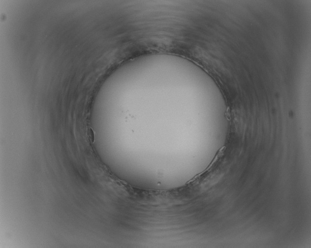 X0000077371057200611031906