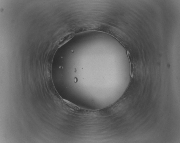 X0000077371058200611031906