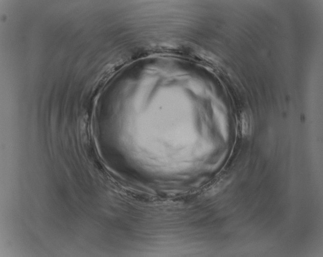 X0000077371059200611031906