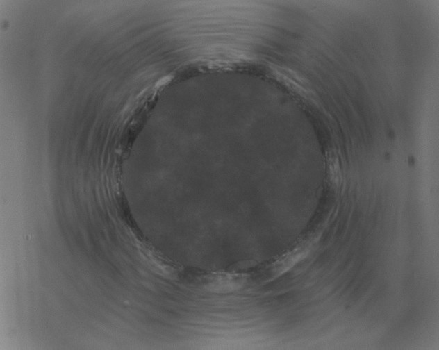 X0000077371060200611031905