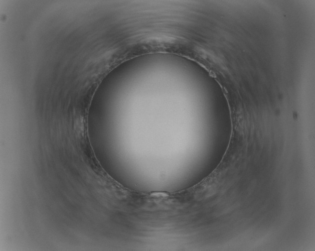 X0000077371061200611031905