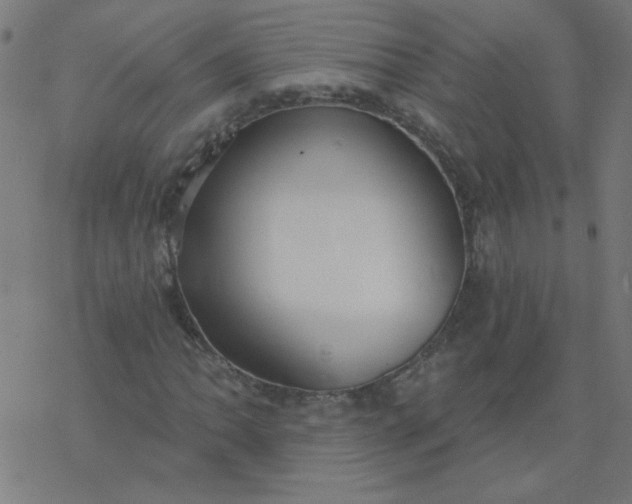 X0000077371062200611031905