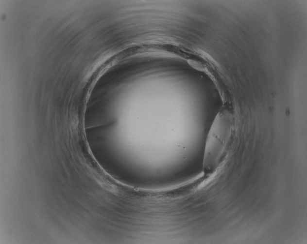 X0000077371065200611031905