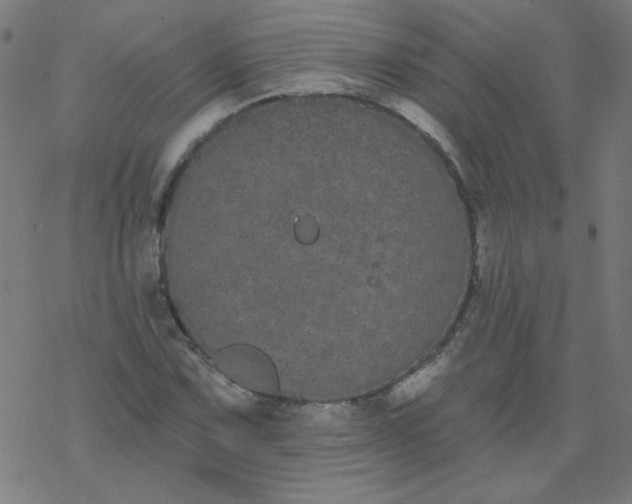 X0000077371067200611031905